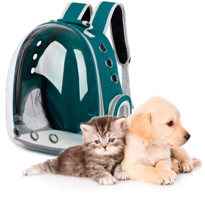 Mochila Pet Transporte  Cães  Gato Visão